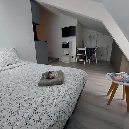 Lejlighed Centre De : Renove, Climatise Et Calme Nice